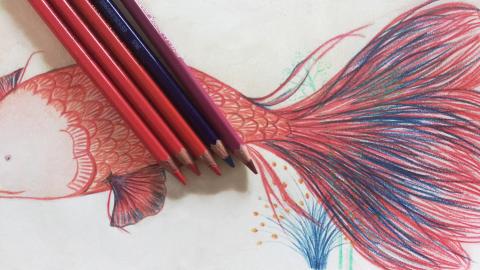 Resultado de imagen para dibujo con lapices de color"